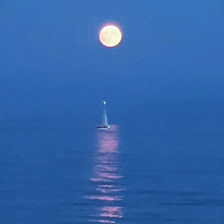 Juli 2024 am Bodensee a...