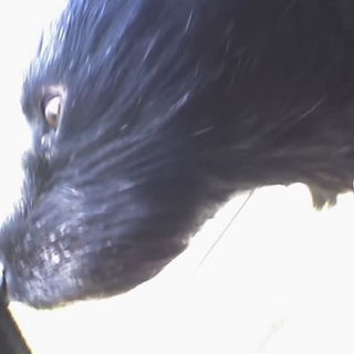 Suuuuperpäääägg