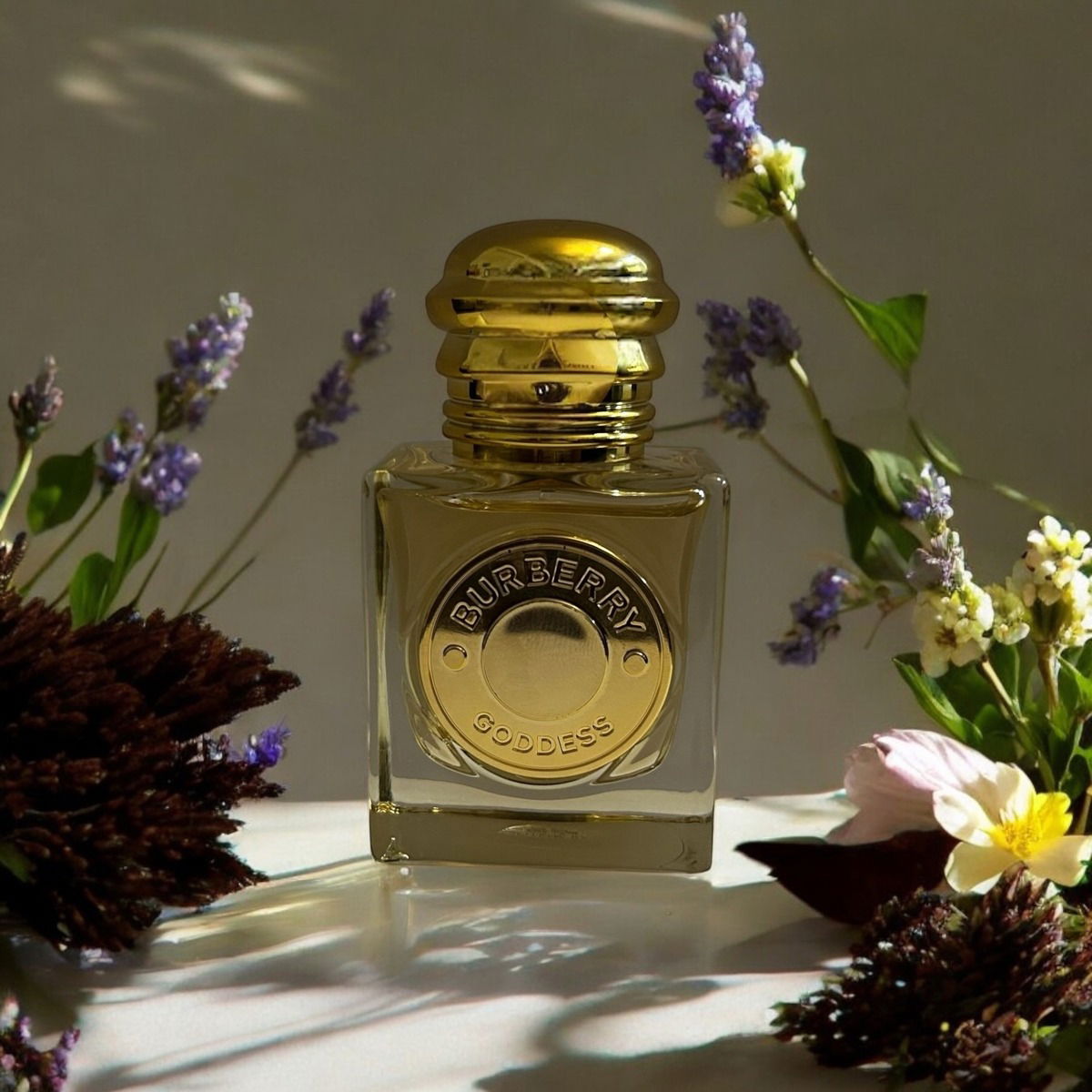 Ein toller Mix aus Vanille, Lavendel, Ingwer und Kakao 🌼