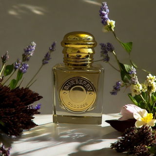 Ein toller Mix aus Vani...