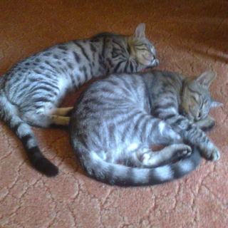 14.09.2012 Mittagsschla...