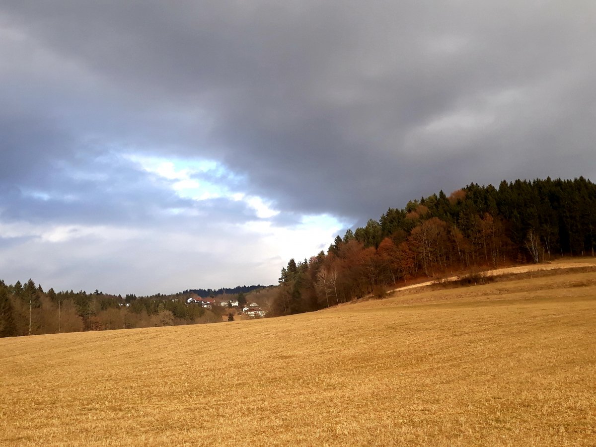 Meine zweite Heimat in Kärnten