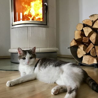 5.mai 2019... mach es w...