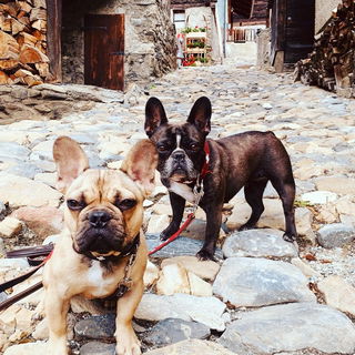 Gilbert & Alice ❤️...