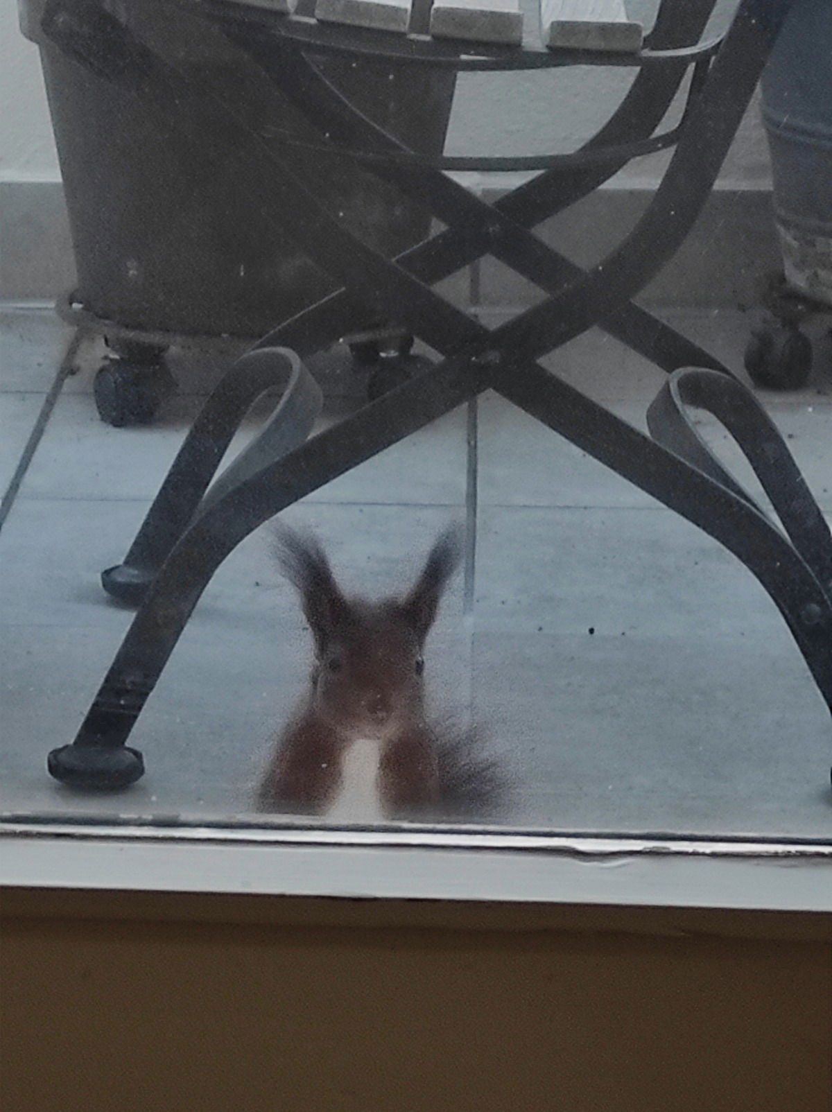 Besuch ;)