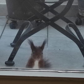 Besuch ;)