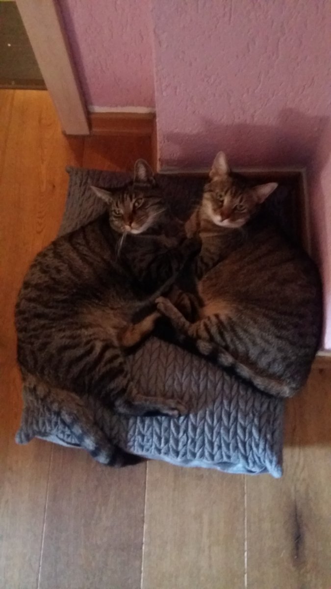 Ein Herz und eine Seele