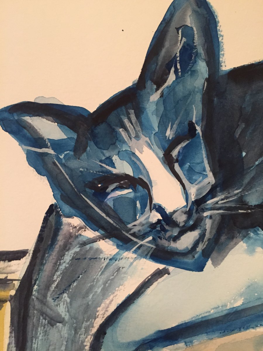 Aquarell , Orientalisch Kurzhaar 11 Jahre alt, hört auf den Namen Lissi