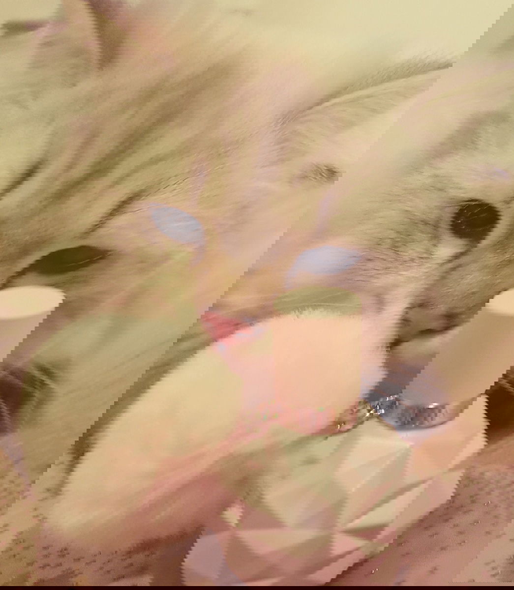 Fettes/Das die immer stören müssen beim Fotos machen...