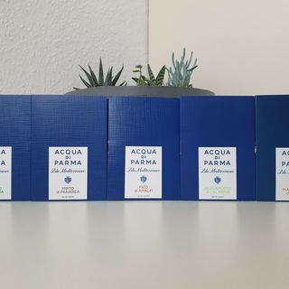 Cipresso di Toscana, Mi...