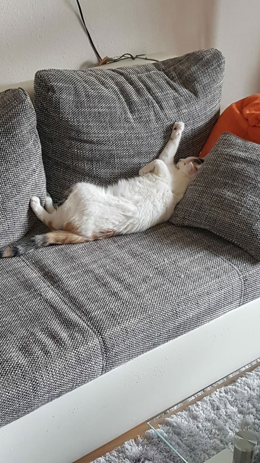 Sunny beim chillen