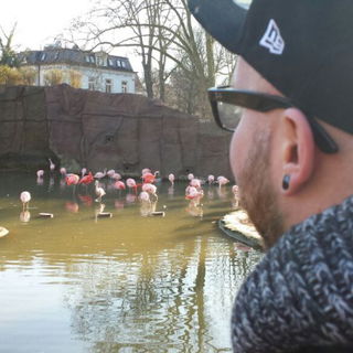 Flamingo-Lagune ist der...