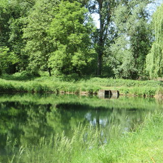 Ein mystischer Ort zum ...