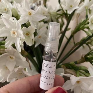 This perfume (Prada sol...