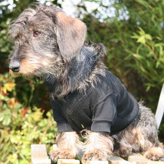 SIMON, mein anderer Zwe...