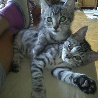 26.06.oben Mucko, unten...