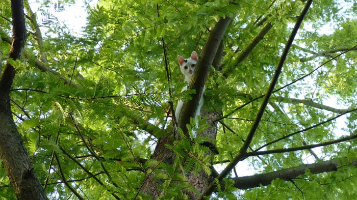 Das allererste Mal auf einem Baum,... vier Jahre her mittlerweile :)