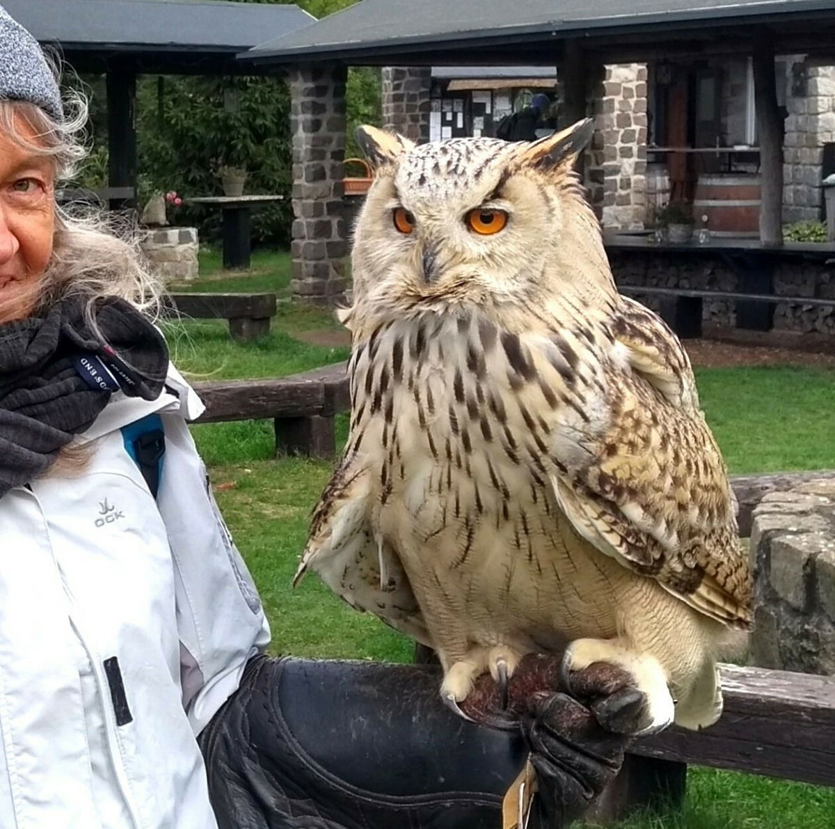 'Fenya' ist ein sibirisches Uhu-Mädchen und wiegt 4 kg!! - eine professionelle Skydiverin 😎