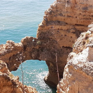 genau :-) Portugal, Alg...