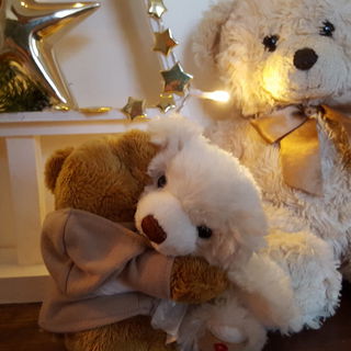 Das Weihnachtswunder....