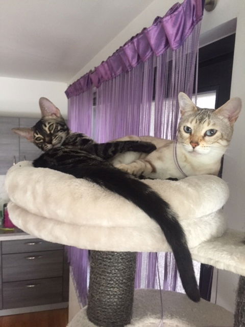Nelly & Nils