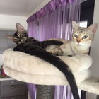 Nelly & Nils