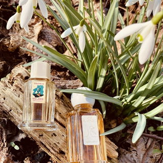 Gandini „vele al vent...