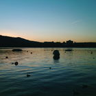 Zürichsee