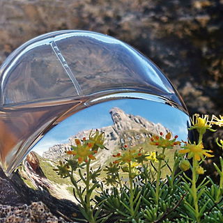 Und eines mit Zora;)....