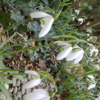 ...bald strecken sie wi...