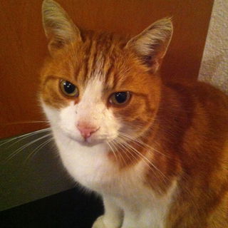 Max... 2.6.2006 - 26.12...
