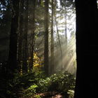 Licht und Schatten
