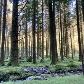 Gougane Barra