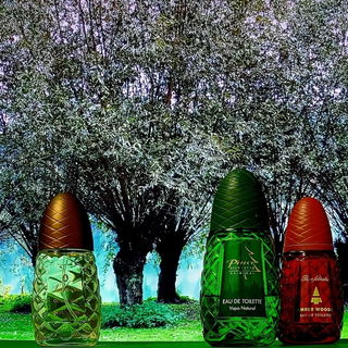 Pino Silvestre mit "Oud...