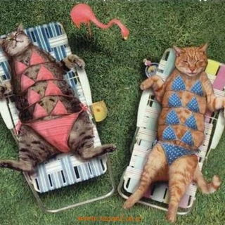 Hach Luise, schön sind...