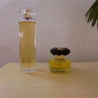 Worth - Courtesan und S...