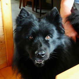 Bruno Okt. 23