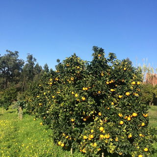 Heimat im Dezember ??...