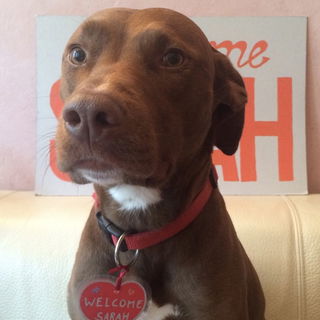 welcome dear friends