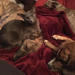 Viel zu früh haben wir...