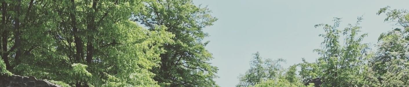 20Sanjii23