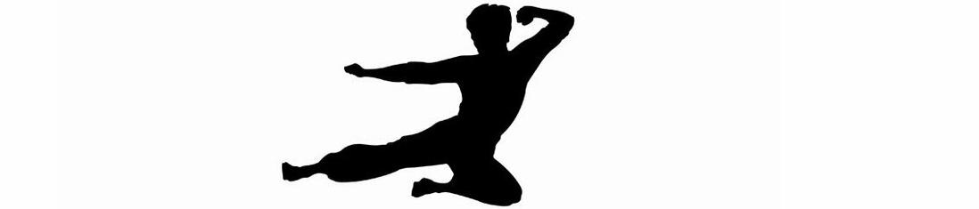 BruceLee