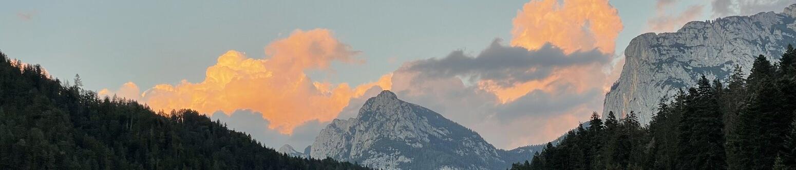 Mondlicht93