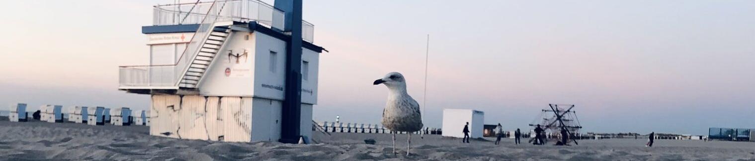 Odyssea