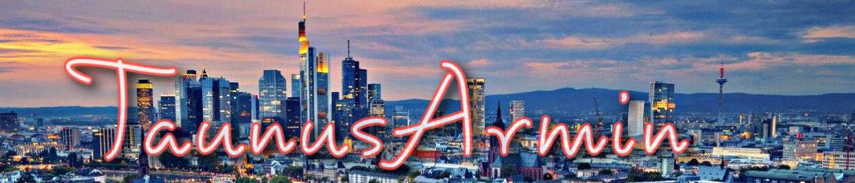TaunusArmin