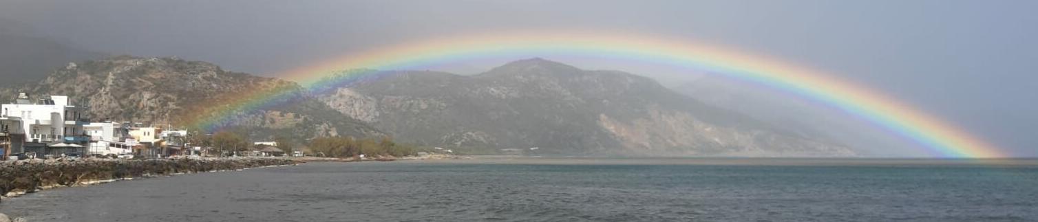Irini29
