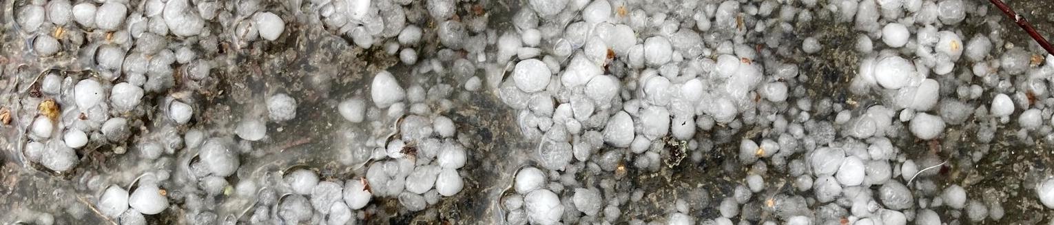 Sugarspun