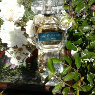 Rose A whiter shade of pale