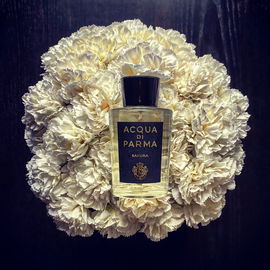 Sakura - Acqua di Parma