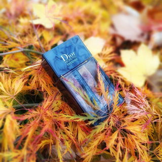 Dior Homme Intense (2011) von Dior